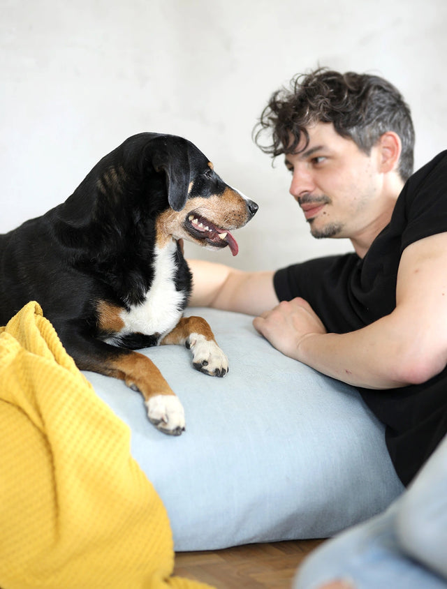 Nachhaltiges Hundebett und Hundedecke von BUDDY. Hundezubehör. BUDDY. Gründer Manuel kuschelt mit seiner Hündin Momo auf einem hellblauen Hundebett aus recycelten PET-Flaschen. Daneben liegt eine nachhaltige Hundedecke aus gelber Baumwolle. 