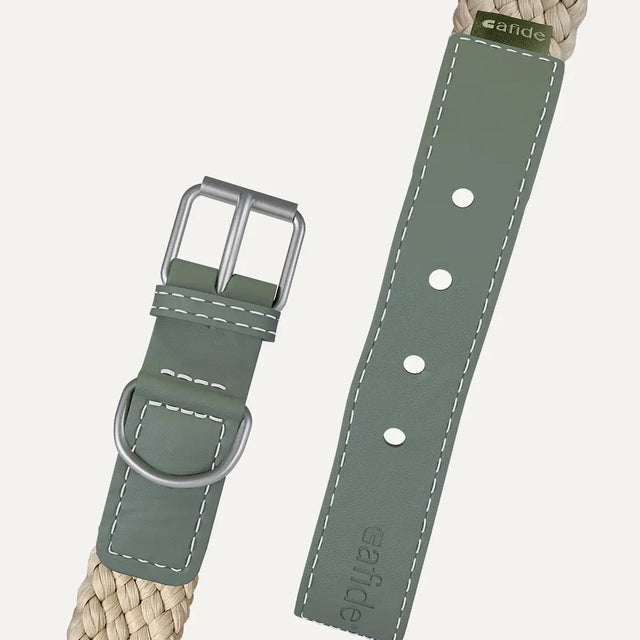 Cafide - Grünes Halsband aus veganem Leder - bei BUDDY. Hundezubehör online kaufen Cafide - Grünes Halsband aus veganem Leder - bei BUDDY. Hundezubehör online kaufen