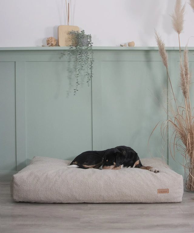 Hundebett von Buddy Hundezubehör in Boucle Optik Hundebett von Buddy Hundezubehör in Boucle Optik
