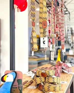 Hundeleinen und Hundehalsband kaufen in Brühl bei bei BUDDY. Hundezubehör