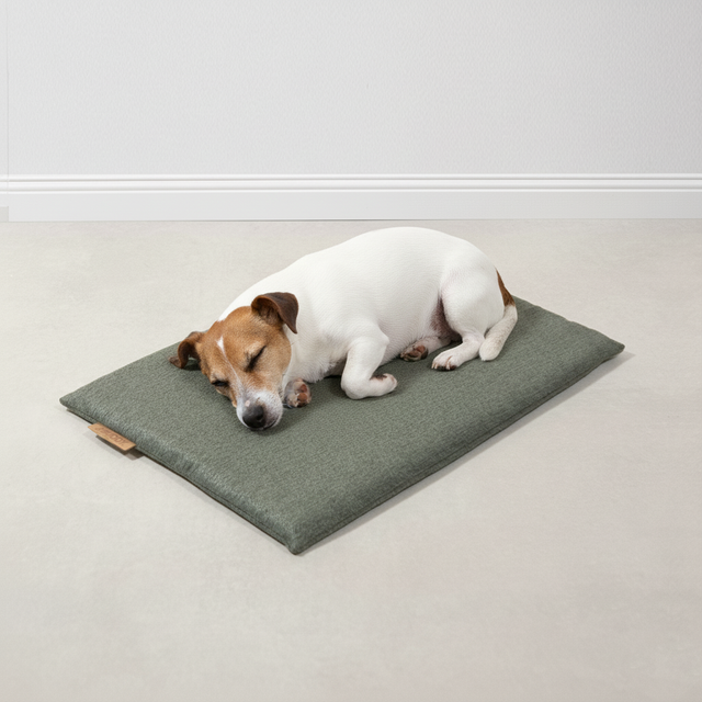 BUDDY. Hundematte - "Matt" - Grün BUDDY. Hundematte - "Matt" - Grün