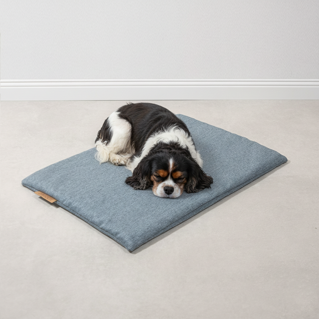 BUDDY. Hundematte - "Matt" - Hellblau BUDDY. Hundematte - "Matt" - Hellblau