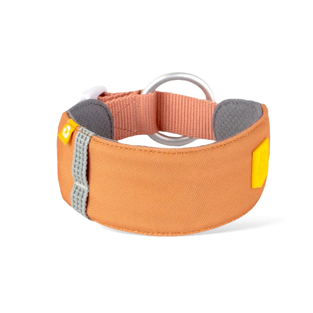 Woolly Wolf - Alpha 360 - Golden Hour - Hundehalsband - bei BUDDY. Hundezubehör online kaufen Woolly Wolf - Alpha 360 - Golden Hour - Hundehalsband - bei BUDDY. Hundezubehör online kaufen