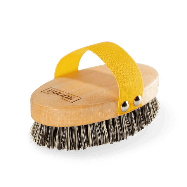 BUDDY. Hundebürste - Kurzhaar - bei BUDDY. Hundezubehör online kaufen BUDDY. Hundebürste - Kurzhaar - bei BUDDY. Hundezubehör online kaufen