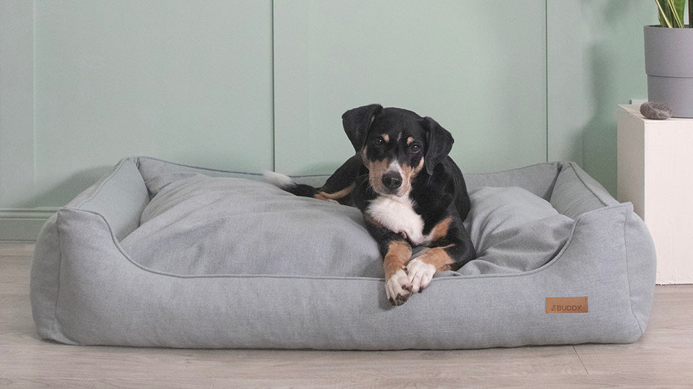 Produktbild von Vevor Haustierrampe 4-stufige Klapptreppe Für Hunde Aluminium Hundetreppe Für Kleine Hunde