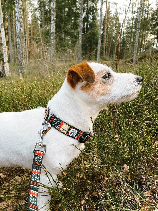 Woolly Wolf - Woodland - Hundehalsband - bei BUDDY. Hundezubehör online kaufen Woolly Wolf - Woodland - Hundehalsband - bei BUDDY. Hundezubehör online kaufen