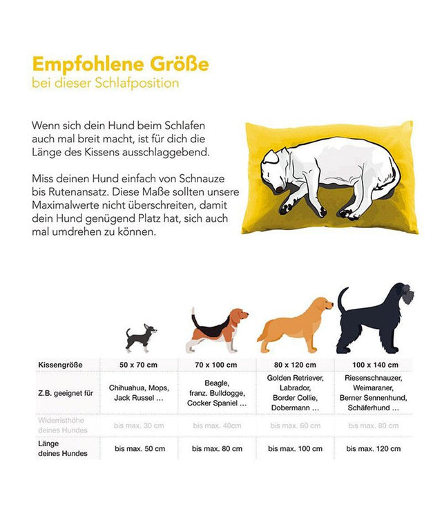 BUDDY. Hundebett - "Jumbo" - Petrol - bei BUDDY. Hundezubehör online kaufen BUDDY. Hundebett - "Jumbo" - Petrol - bei BUDDY. Hundezubehör online kaufen