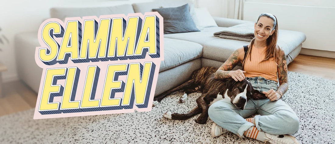 Zu viel Spielzeug für den Hund? Warum weniger oft mehr ist