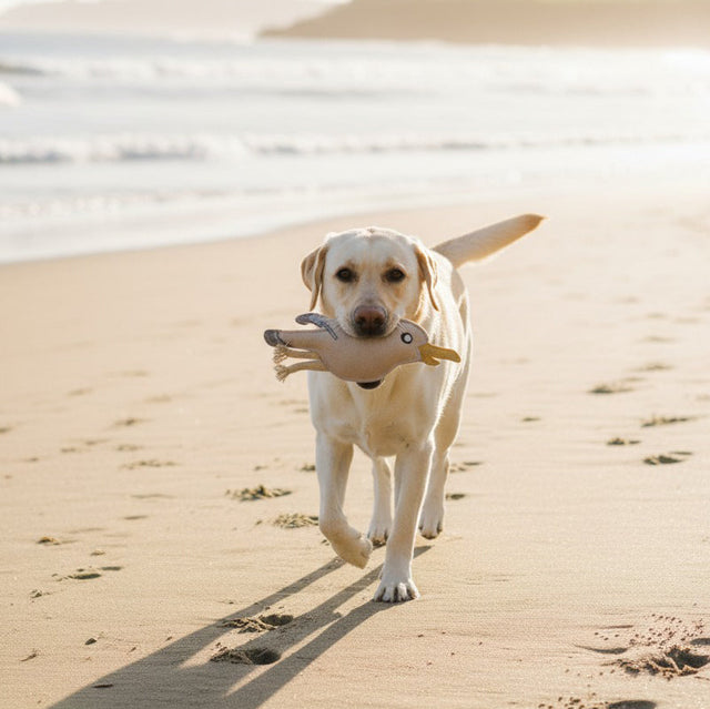 BUDDY. natürliches Hundespielzeug aus Leder