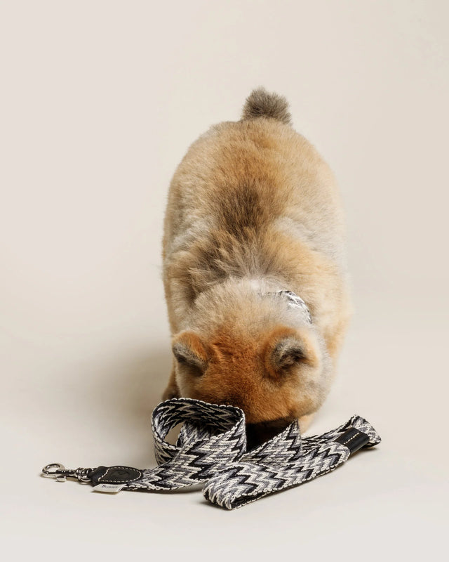 Buddys Dogwear - Black Peruvian - Verstellbare Leine 2m - bei BUDDY. Hundezubehör online kaufen