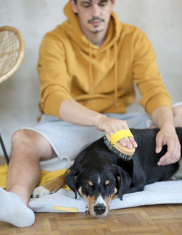 Fellpflege für Hunde von BUDDY. Hundezubehör. Manuel bürstet das Hundefell seines Hundes mit einer Holzbürste mit veganen Borsten. Sie sitzen dabei auf einer nachhaltigen Hundematte aus recycelten PET-Flaschen. 
