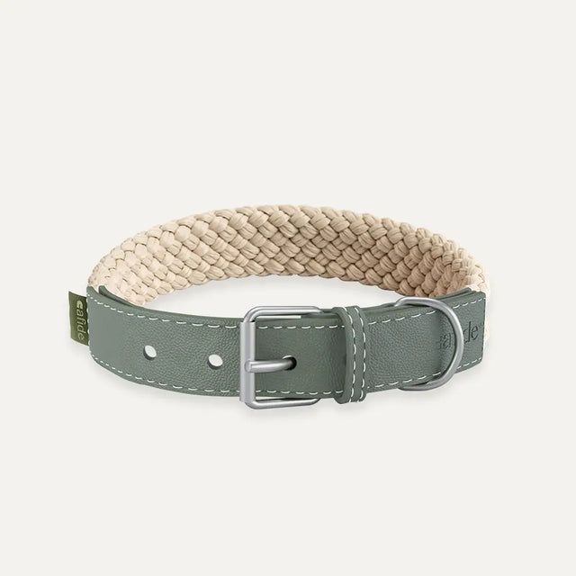 Cafide - Grünes Halsband aus veganem Leder - bei BUDDY. Hundezubehör online kaufen Cafide - Grünes Halsband aus veganem Leder - bei BUDDY. Hundezubehör online kaufen