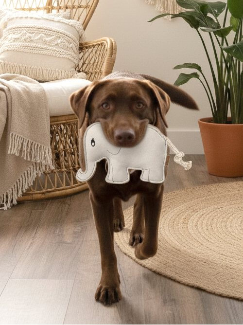 BUDDY. Hundespielzeug aus Leder "Elefant" - natürliches Hundespielzeug bei BUDDY. Hundezubehör online kaufen