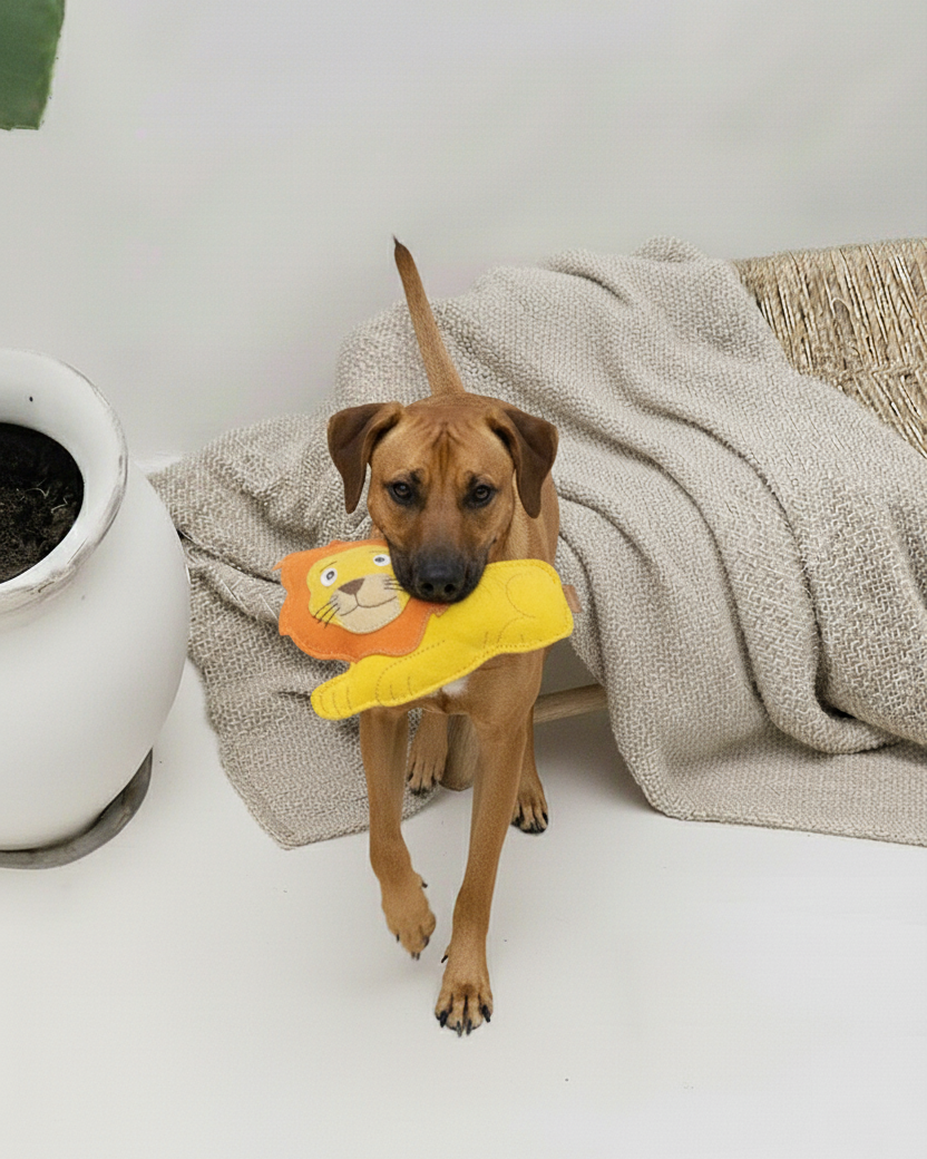 BUDDY. Hundespielzeug aus Leder "Löwe" - natürliches Hundespielzeug bei BUDDY. Hundezubehör online kaufen