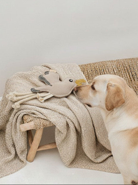 BUDDY. Hundespielzeug aus Leder "Möwe" - natürliches Hundespielzeug bei BUDDY. Hundezubehör online kaufen