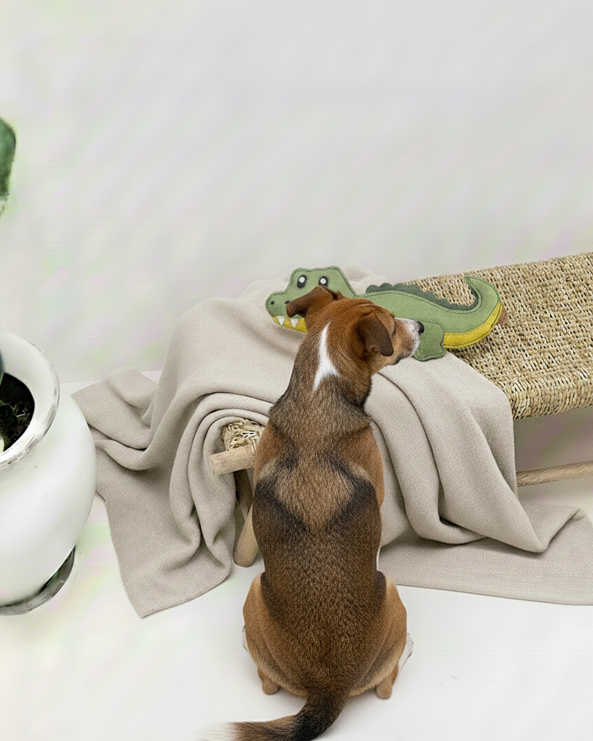 BUDDY. Hundespielzeug aus Leder "großes Krokodil" - natürliches Hundespielzeug bei BUDDY. Hundezubehör online kaufen