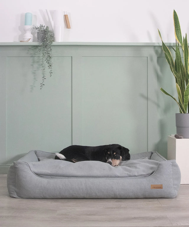 BUDDY. Hundebett mit Rand - grau/blau - aus recycelten Materialien - bei BUDDY. Hundezubehör online kaufen