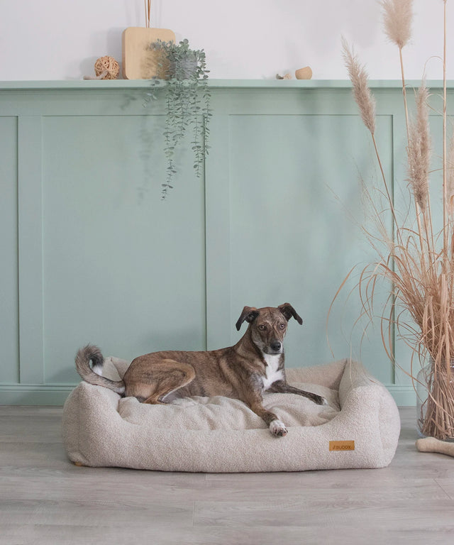 BUDDY. Hundebett mit Rand - LeFluff - aus recycelten Materialien - bei BUDDY. Hundezubehör online kaufen