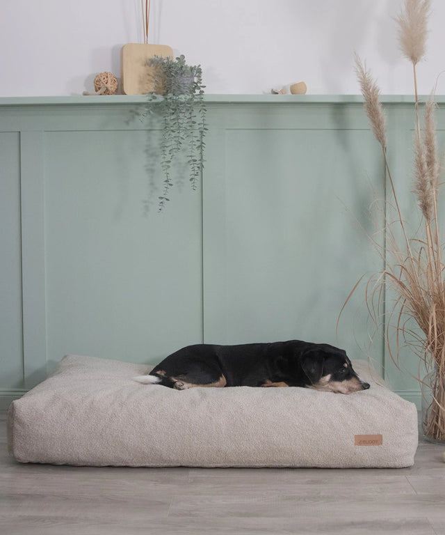 BUDDY. Hundebett - LeFluff - aus recycelten Materialien - bei BUDDY. Hundezubehör online kaufen