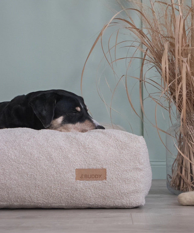 BUDDY. Hundebett - LeFluff - aus recycelten Materialien - bei BUDDY. Hundezubehör online kaufen