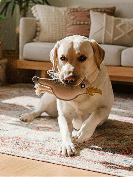 BUDDY. Hundespielzeug aus Leder "Möwe" - natürliches Hundespielzeug bei BUDDY. Hundezubehör online kaufen