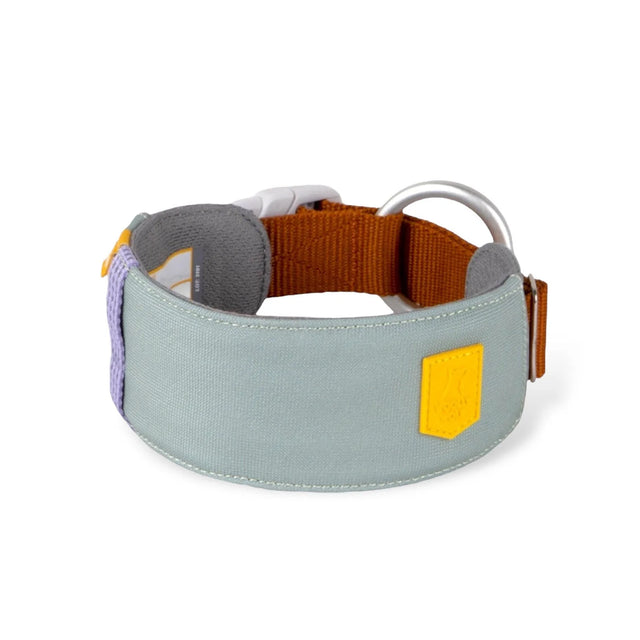 Woolly Wolf - Alpha 360 - Glacier Green - Hundehalsband - bei BUDDY. Hundezubehör online kaufen Woolly Wolf - Alpha 360 - Glacier Green - Hundehalsband - bei BUDDY. Hundezubehör online kaufen