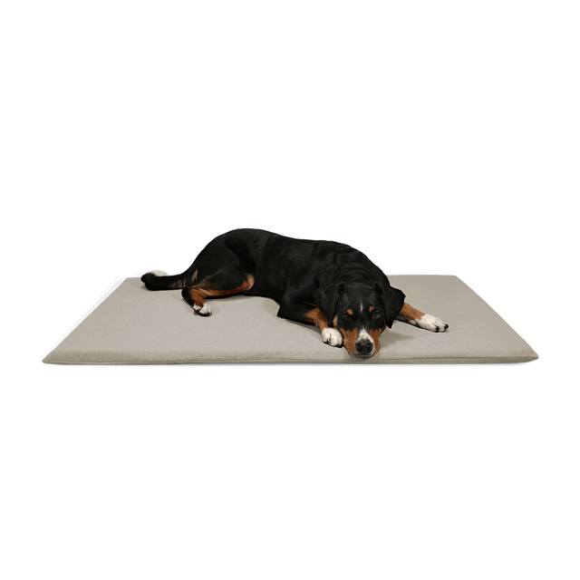 BUDDY. Hundematte - "Matt" - 45 x 65 cm - bei BUDDY. Hundezubehör