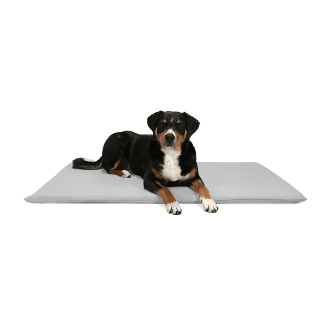 BUDDY. Hundematte - "Matt" - 45 x 65 cm - bei BUDDY. Hundezubehör