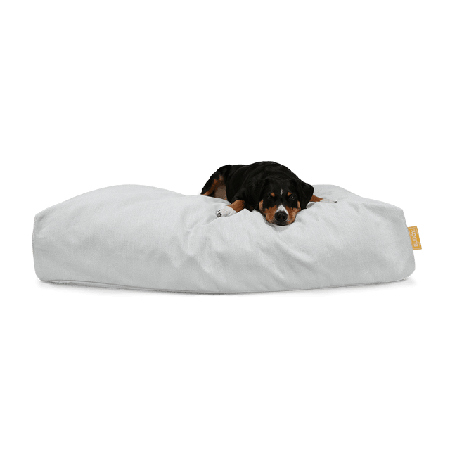 BUDDY. Set - Hundebett "Jumbo" & Wechselbezug - 50 x 70 cm - bei BUDDY. Hundezubehör